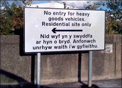 Proofreading Errors