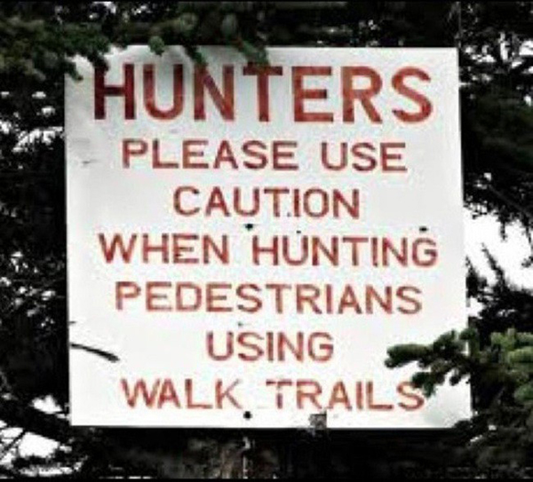 Proofreading Errors