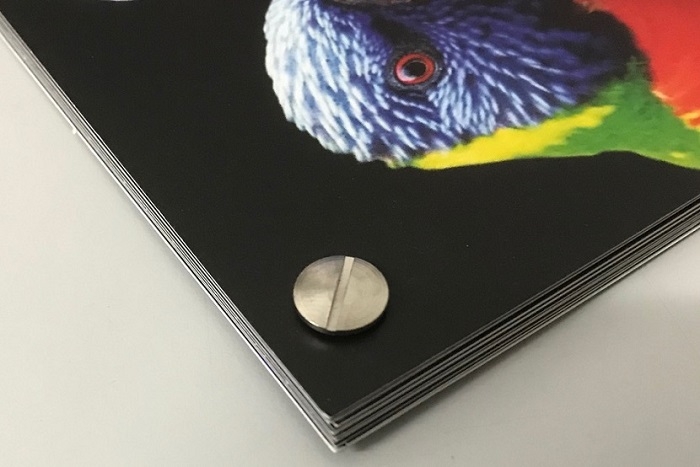 Our previous screw bound binding work.