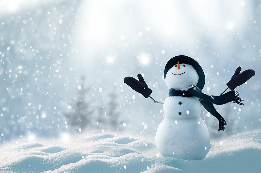 Snowman in the snow scene