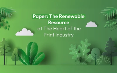 Paper: The Renewable Resource at The Heart of the Print Industry