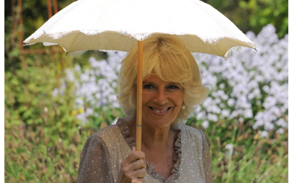 Duchess of Cornwall clutches parasol