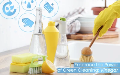 The Unsung Hero of Green Cleaning: Why Vinegar Reigns Supreme