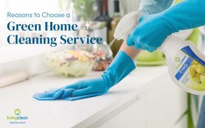 Reasons to Choose a Green Home Cleaning Service