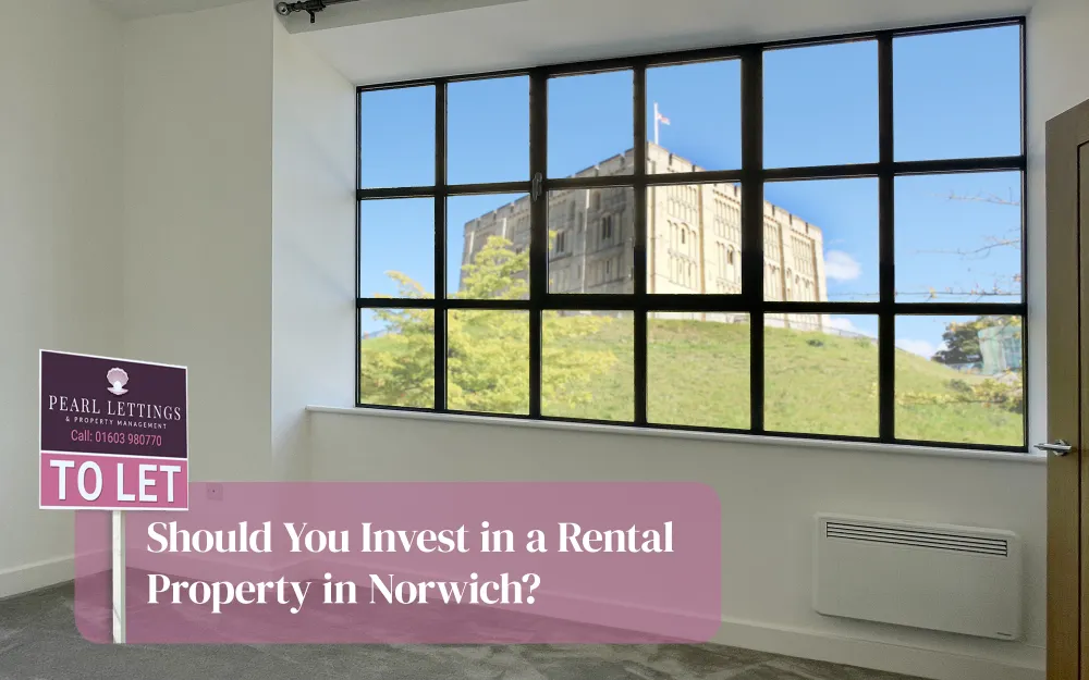 image of inside Norwich property with view of castle