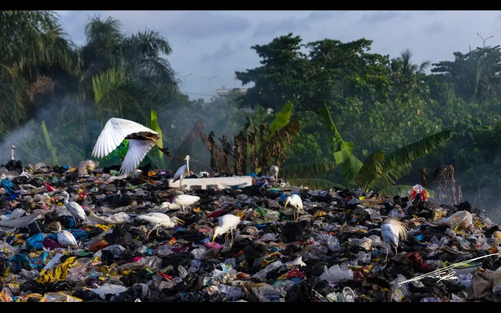 A World Struggling with Waste The Planet s Biggest Landfill Sites