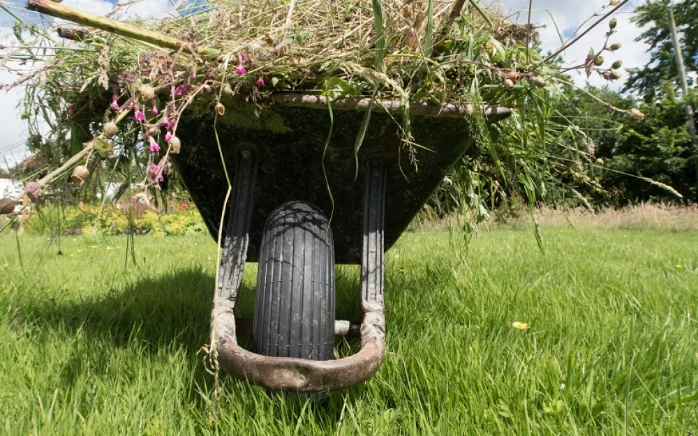 wheelbarrow full of garden waste destined for a garden waste only skip
